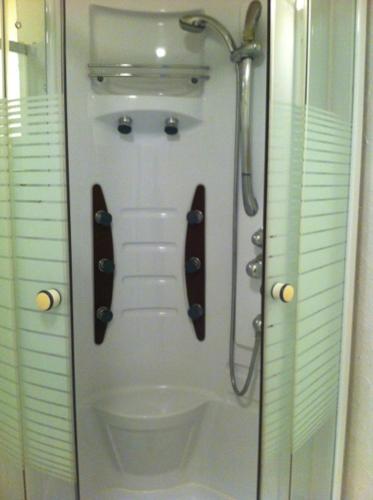 une salle de bain avec douche et toilettes dans l'établissement La Prunelle 1, à Ferrières-Saint-Mary