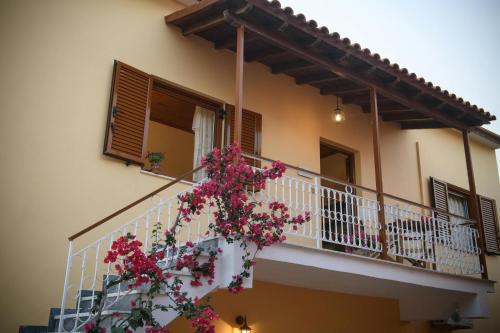Traditional Sophia's Family House