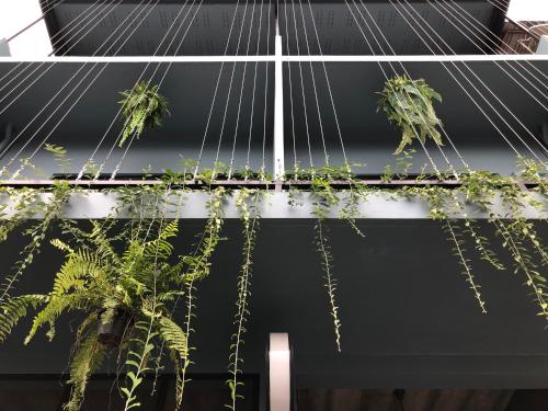 a group of plants hanging from a building at Goodnight Poshtel + Free Netflix in Hat Yai