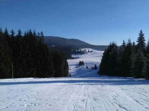 a snow covered slope with trees on a mountain at Mountain bungalows and a Hobbit House - Jazavčije Rupe in Han Pijesak