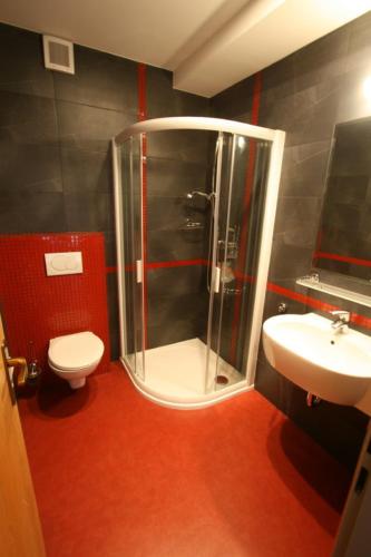 a bathroom with a shower and a toilet and a sink at Hotel Krystal in Luhačovice