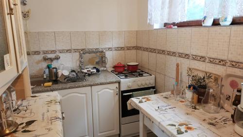 Kuchyň nebo kuchyňský kout v ubytování Fenyves Villa