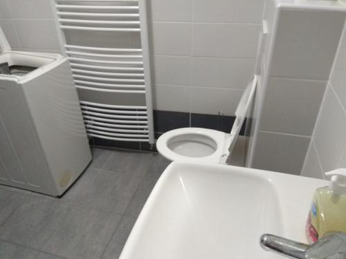 a bathroom with a white toilet and a sink at Apartmány U splavu in Veselí nad Moravou