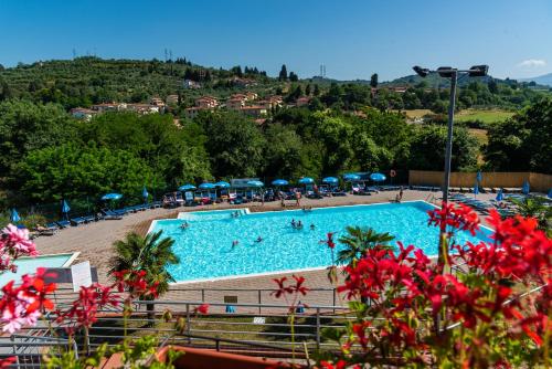 Bazén v ubytování Camping Village Il Poggetto nebo v jeho okolí