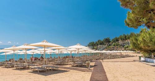Gallery image of Tosca Beach Hotel in Paleo Tsifliki