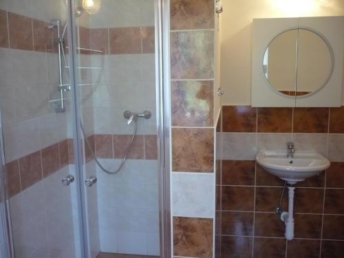 a bathroom with a shower and a sink at Apartmán U Pavla in Broumov