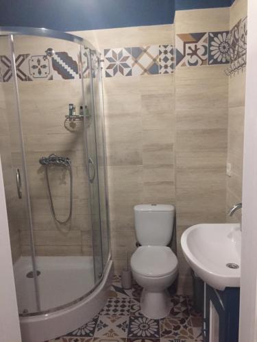 a bathroom with a shower and a toilet and a sink at Apartments Marine in Zatoka