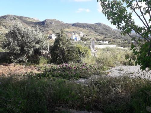 Φωτογραφία από το άλμπουμ του Cozy secluded studio with panoramic view σε Áyios Yeóryios