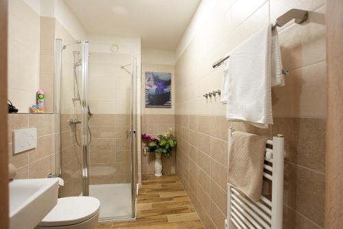 a bathroom with a shower and a toilet and a sink at Apartmany Arber in Železná Ruda