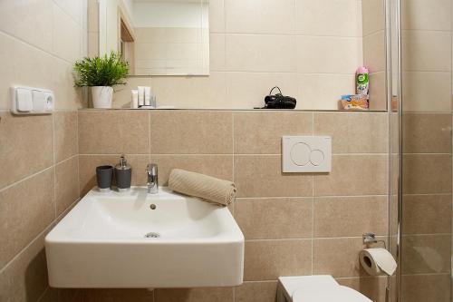 a bathroom with a sink and a toilet at Apartmany Arber in Železná Ruda