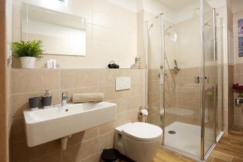 a bathroom with a toilet and a sink and a shower at Apartmany Arber in Železná Ruda
