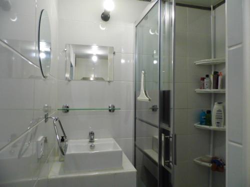 a white bathroom with a sink and a shower at Le petit Marais n° 2 in Nouan-le-Fuzelier