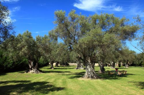 a park with picnic tables and trees in the grass at Olivastro Villa in Lefkada Town