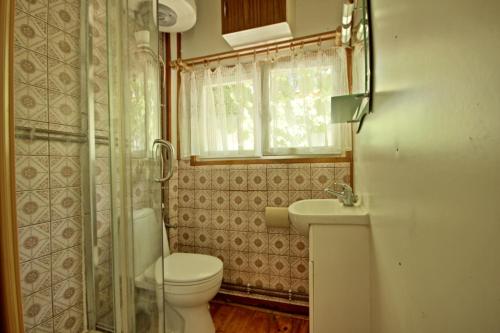 a bathroom with a toilet and a sink and a shower at Domek Letni Bałtycka in Sopot