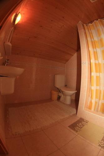 a bathroom with a sink and a toilet at Penzion Micik in Zuberec