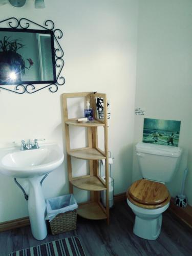 a bathroom with a sink and a toilet and a mirror at Gite Pousse Pioche in Notre-Dame-des-Monts