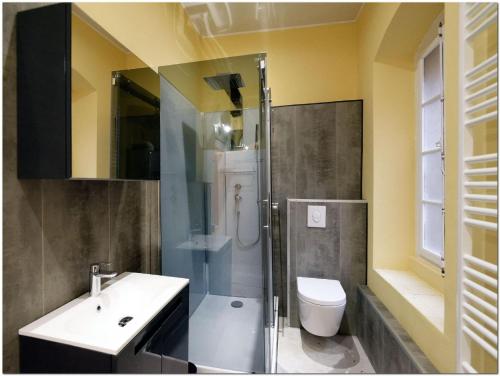 Un baño con ducha, inodoro y lavabo. en Appartement Le 22 - Colmar Centre Parking Privatif en option, en Colmar
