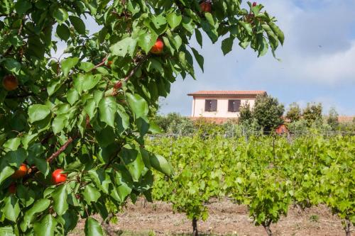 Κήπος έξω από το Agriturismo Casale Sasso