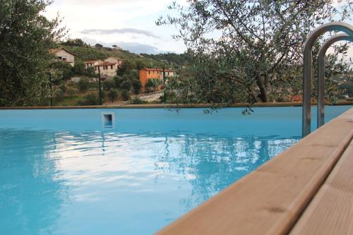 a swimming pool with blue water and trees and houses at Agriturismo OlivArancio in Leivi