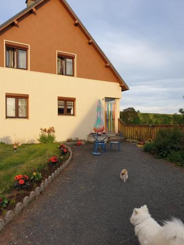 a cat is standing in front of a house at Horizon Aubrac Laguiole in Laguiole