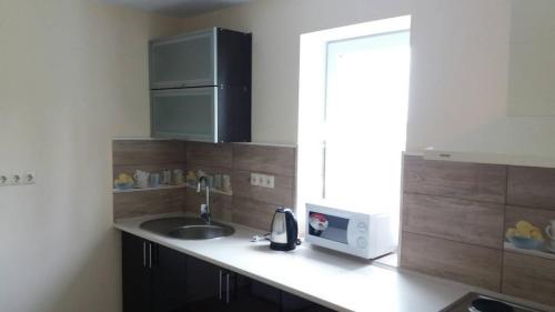 a kitchen with a sink and a microwave at 105 in Khmelnytskyi