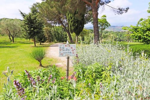 Φυσικό τοπίο κοντά σε αυτό το κατάλυμα σε φάρμα