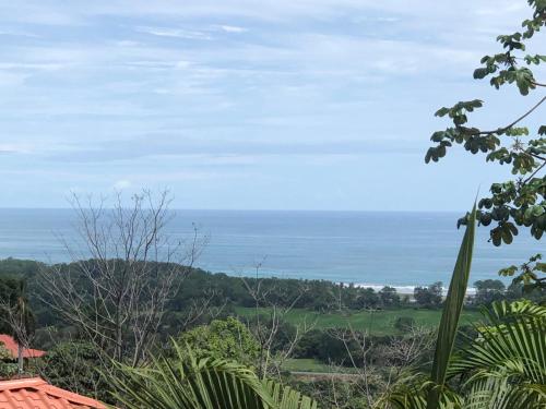 Casa del Toucan – Photos 5