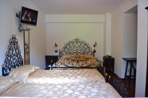 a bedroom with a bed and a tv on a wall at Hotel Bucaneve in Pescasseroli
