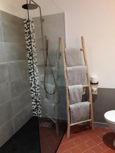 a shower in a bathroom with a towel ladder at Le Clos Marceau in Bédoin