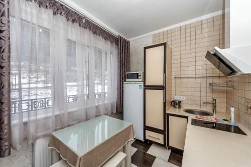 uma pequena cozinha com um lavatório e uma janela em FAVAR Carpathians em Skhidnitsa