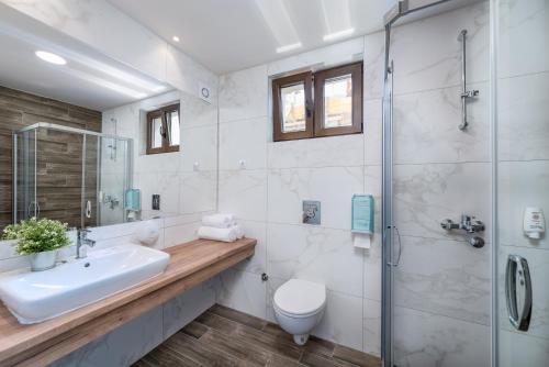 a bathroom with a toilet and a sink and a shower at Vip Casa Club Zlatibor in Zlatibor