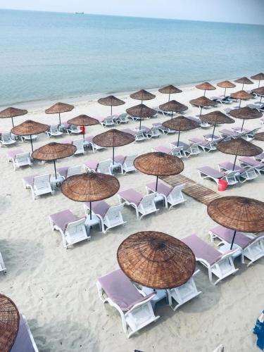 Pantai di atau dekat dengan hotel