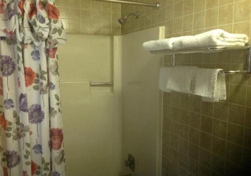 a bathroom with a shower with a shower curtain at Holly Motel Southampton in Southampton