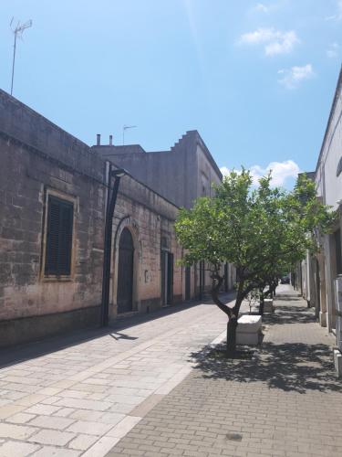 an empty street in an old building with a tree at Residencefusaro appartamenti Specchia in Specchia