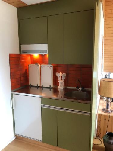 a kitchen with green cabinets and a sink at Jizerka in Unterwasser