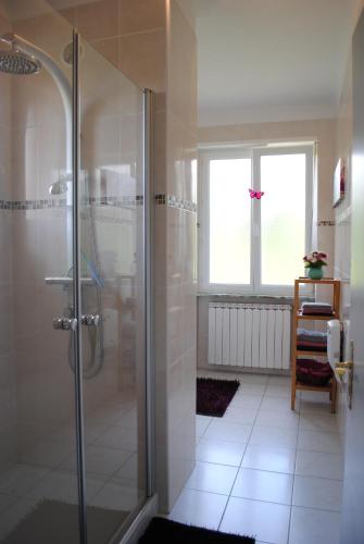 baño con ducha y ventana en AU LOGIS DU SIMSERHOF en Hottviller
