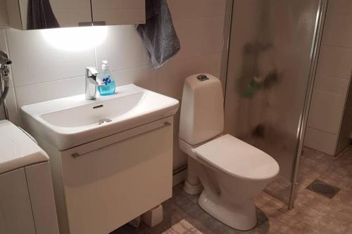 een badkamer met een toilet, een wastafel en een douche bij Kaunis valoisa 4. krs pikkukaksio Vantaa Koivukylä in Vantaa