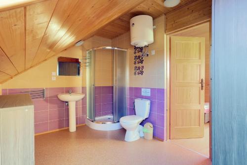 a bathroom with a shower and a toilet and a sink at Trzy Czajki Dom Gościnny in Wicie