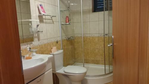 a bathroom with a shower and a toilet and a sink at BG Villa, Apartment L in Sutomore