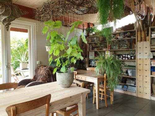una sala da pranzo con tavoli in legno e piante in vaso di Appartementen Het Oude Atelier a Schoorl