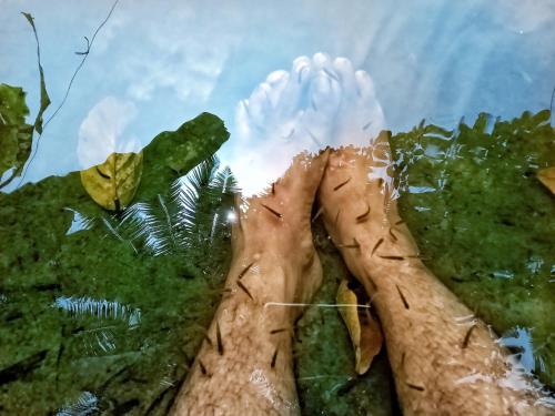 a reflection of a persons legs in the water at Marari Bethsaida Homestay in Shertallai