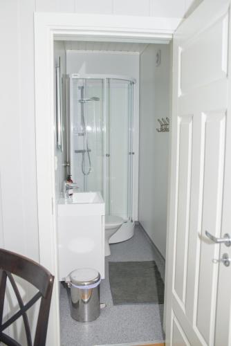 a bathroom with a shower and a sink and a toilet at lunde slusevaktarbolig in Lunde