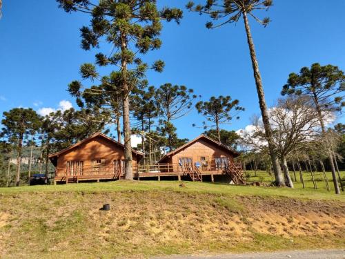 a cabin in the woods with palm trees at Celeiro das Águas Brancas in Urubici