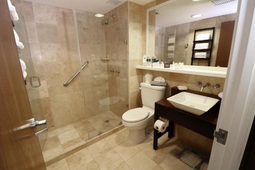 uma casa de banho com um chuveiro, um WC e um lavatório. em Hotel Mesaluna Near American Consulate em Ciudad Juárez