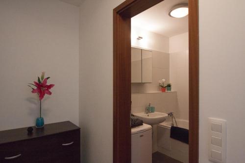 A bathroom at Juls Apartment next to football and hockey stadium