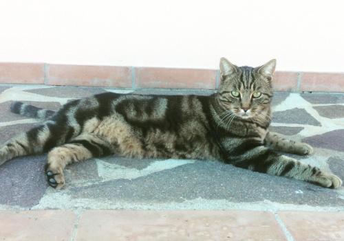 Φωτογραφία από το άλμπουμ του Agriturismo Diaccialone σε Istia dʼOmbrone
