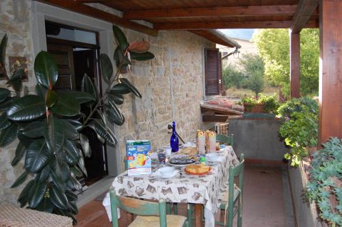 A garden outside Casa Dina