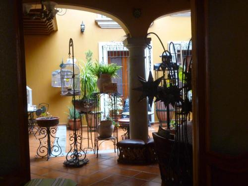 Gambar di galeri bagi Hotel Boutique Parador San Miguel Oaxaca di Oaxaca City