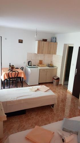 Η κουζίνα ή μικρή κουζίνα στο Apartmani Neda Bane