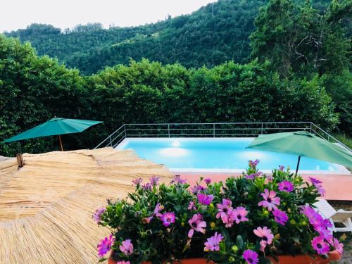 Gallery image of La vecchia canonica in Fivizzano